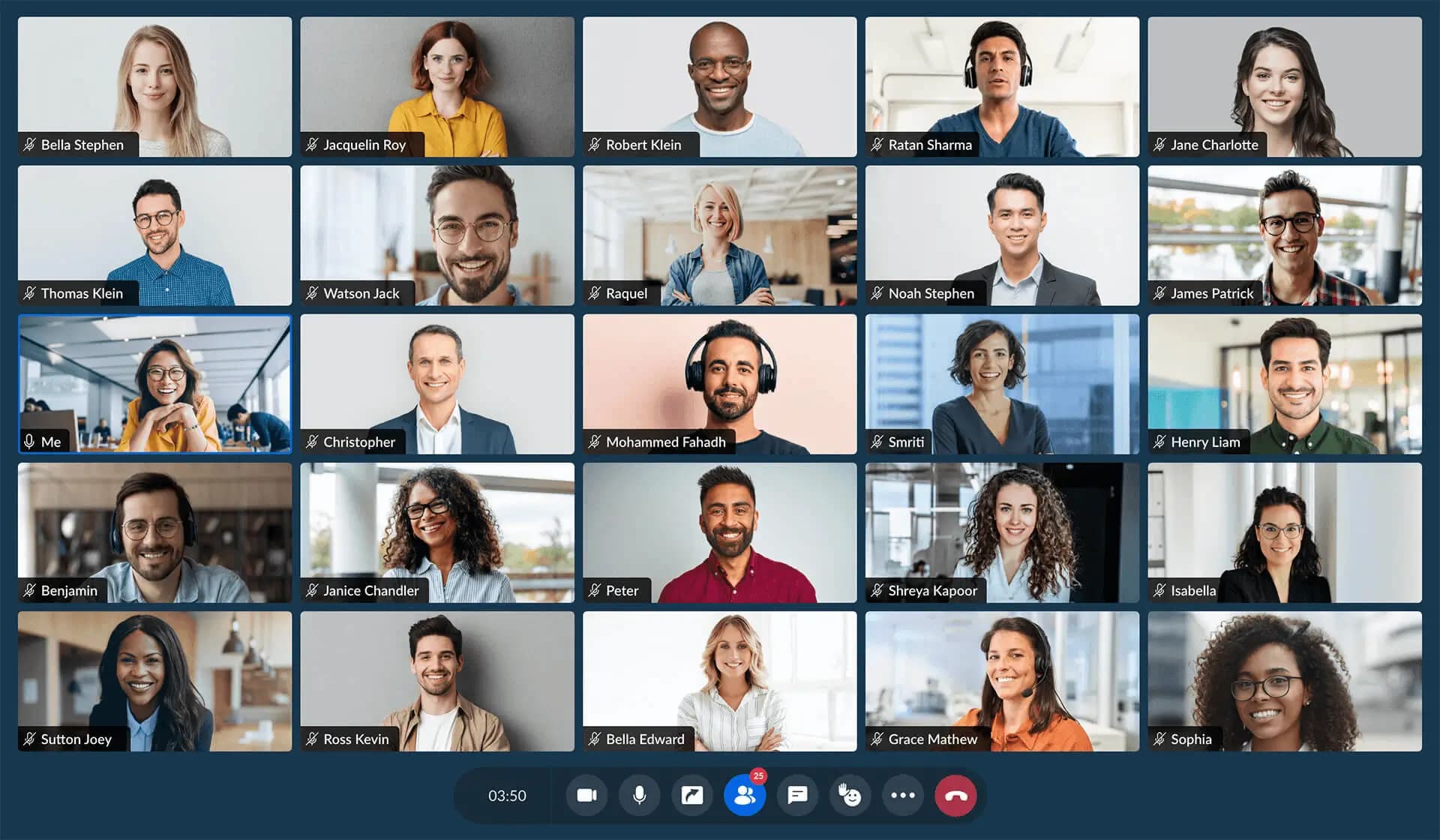 Virtual Meetings & Conferences